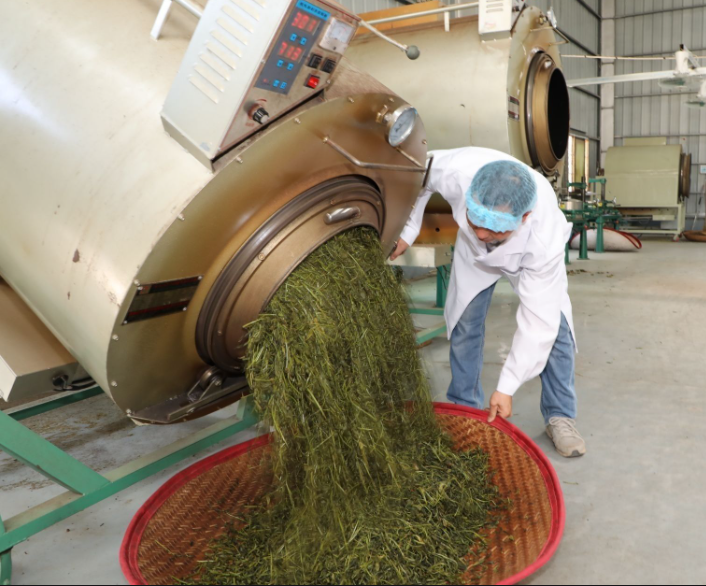 The role of chillers in tea processing and cooling